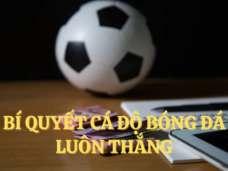 Tìm Hiểu Cá Cược Bóng Đá 92Lottery Đầy Kịch Tính Và Cơ Hội Thắng Lớn